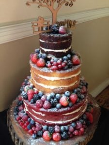 Naked Wedding Cake - Stambridge Village Hall, Rockford Essex